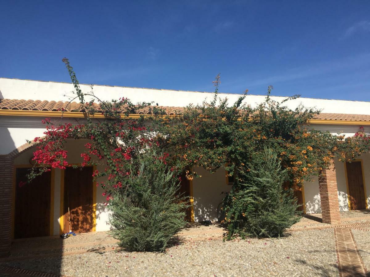 Finca Las Gateras Villamartín Εξωτερικό φωτογραφία